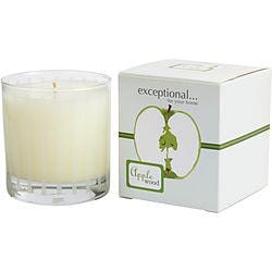 Apple Wood - Limited Edition By Exceptional Parfums