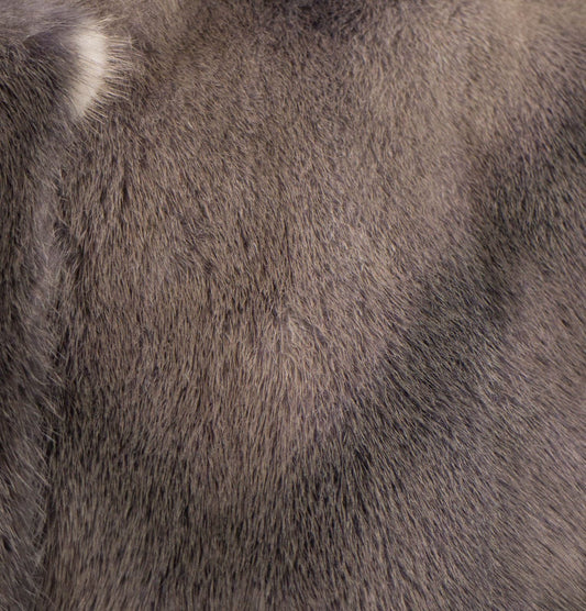 Brunello Cucinelli Taupe Gray Mink Fur W/ Leather Jacket Size 6/42 $24745