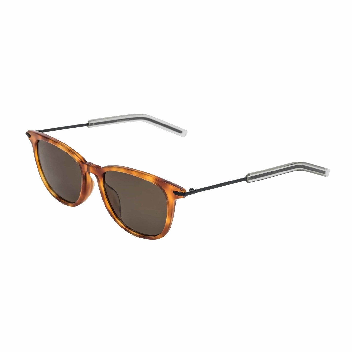 Blacktie 195FS Wayfarer Sunglasses - Tortoise / Brown